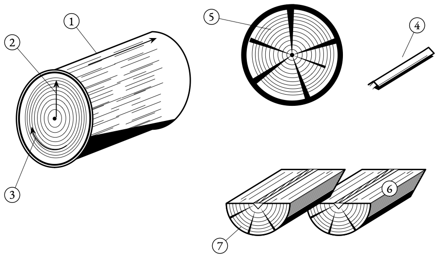 Wood shrinks twice as much round its rings as across them. That is why a log cracks in a star, and why the pith is split out before a spoon is carved.