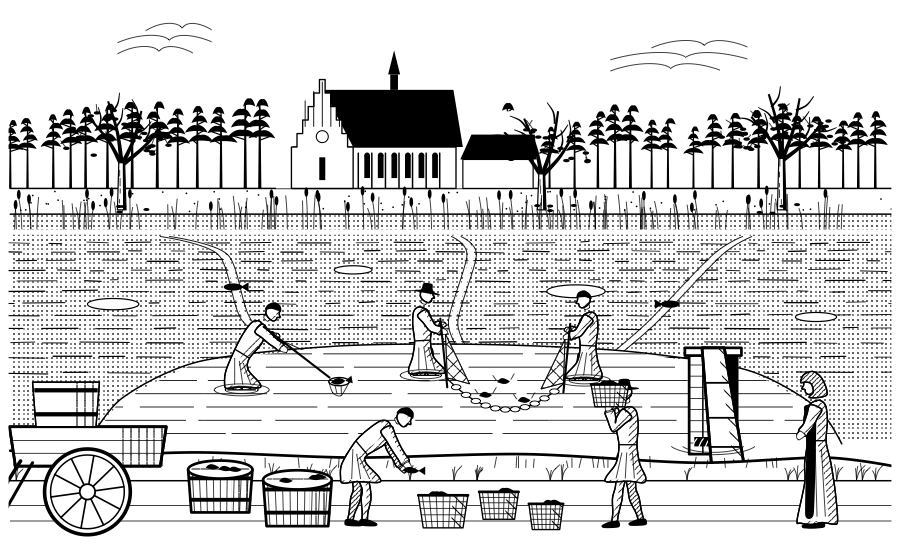 An October draining in the manner Dubravius described. The water is let out through the wooden outlet and the fish are gathered by hand and net in the last pool.