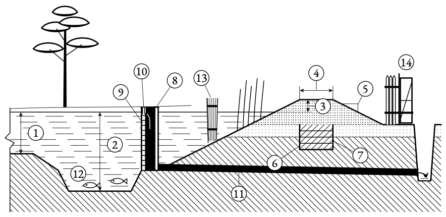 The household pond in section. A metre of water over most of the bed, two at the outlet end where the monk stands, and a clay core under the bank to stop the water finding its way out.