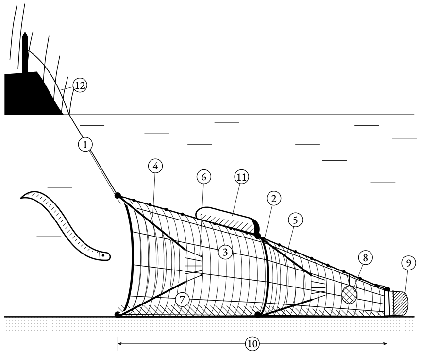 The Havel eel trap, cut open. The eel pushes past the sharp tines of the first funnel and then the second, and the tines close behind it.