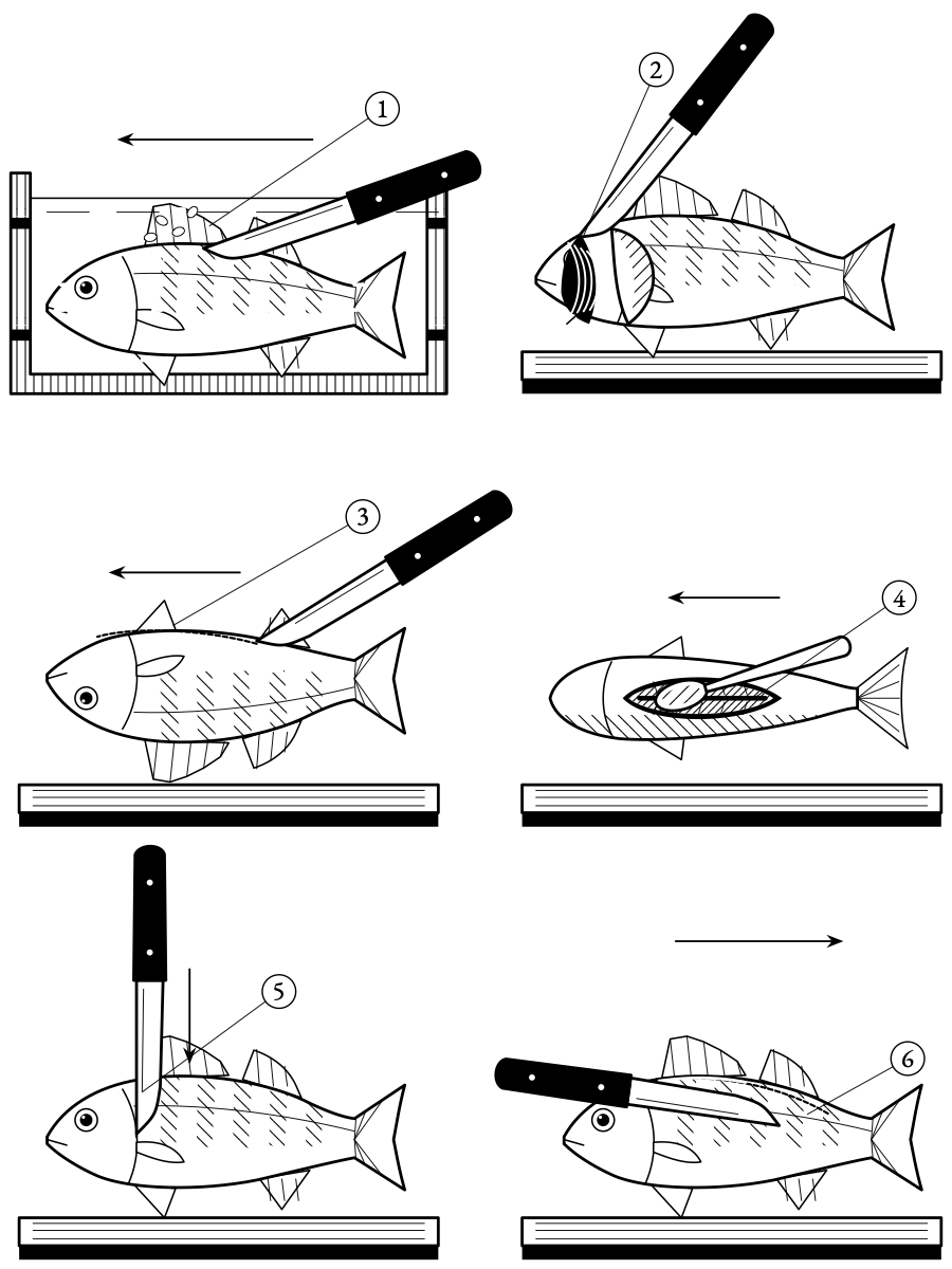 A round fish from whole to fillet. Scale it under water, take the gills, open the belly shallow, clean the kidney line, then run the blade along the bone.