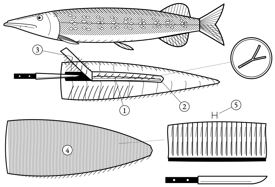 Two answers to the bones of fresh water. Cut the row of forked bones out of a pike fillet, and score a carp fillet so finely that no bone is long enough to lodge.