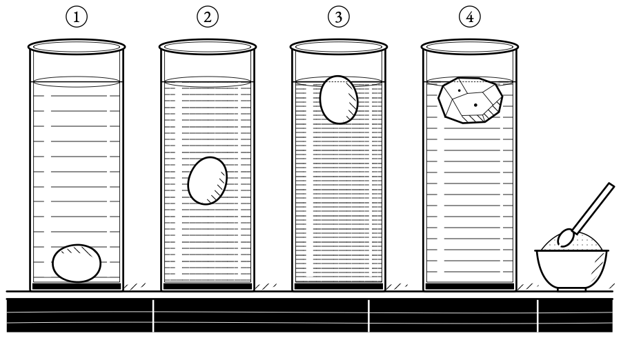 The check without glass. A fresh egg sinks, hangs or floats as the brine grows stronger, and a peeled potato floats when a pickling brine is strong enough.
