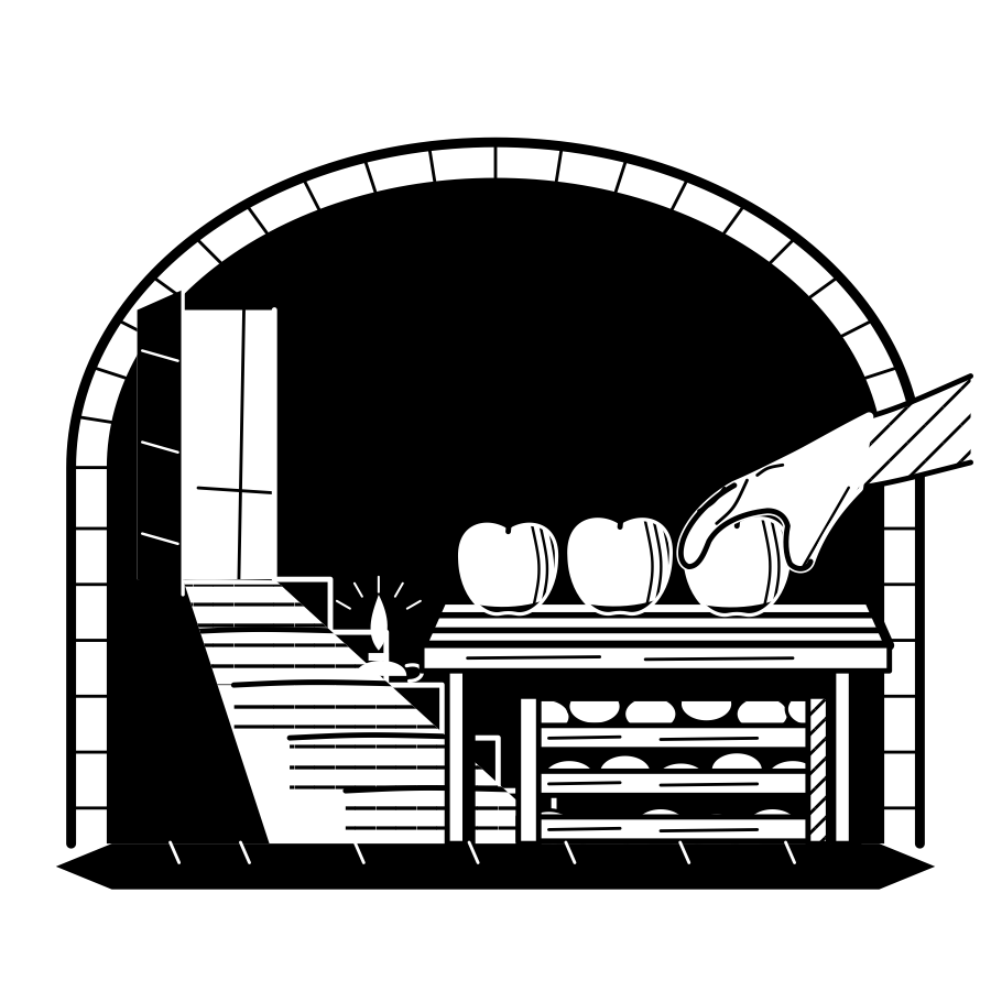 An apple laid on a cellar shelf in October. It will breathe slowly there until spring.