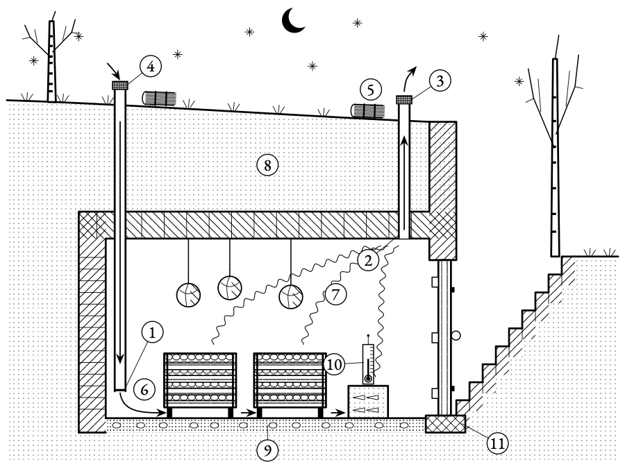 The cellar breathes through two pipes. Cold night air falls in low at the far end, and the warm breath of the harvest rises out high by the door.