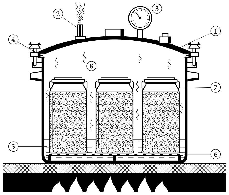 The pressure canner in section. The locked lid and its rubber ring trap the steam until the water boils at 116 degrees, the heat that kills the spore.