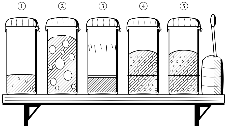 A rye starter's first fortnight. The early rise is false and the flat day is normal, and by the second week it rises on time.