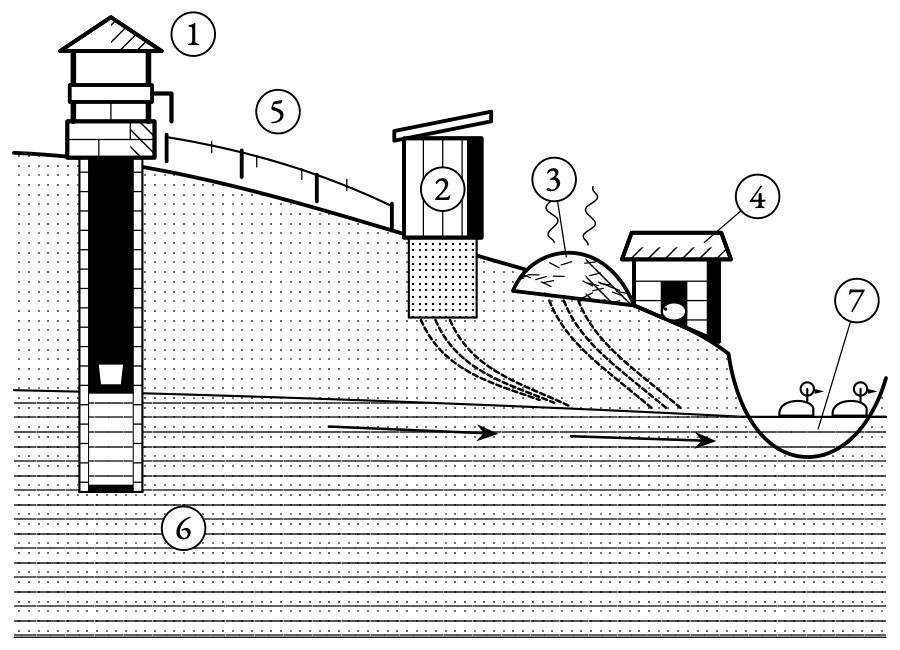 The well stands uphill of the privy, the midden and the pig, and thirty metres from them, because the sand filters nothing.